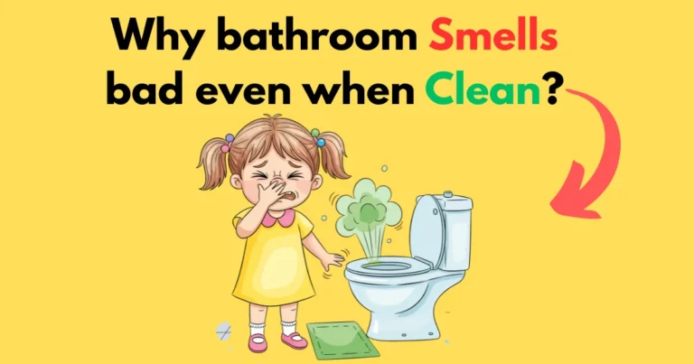 Why bathroom smells bad even when clean?