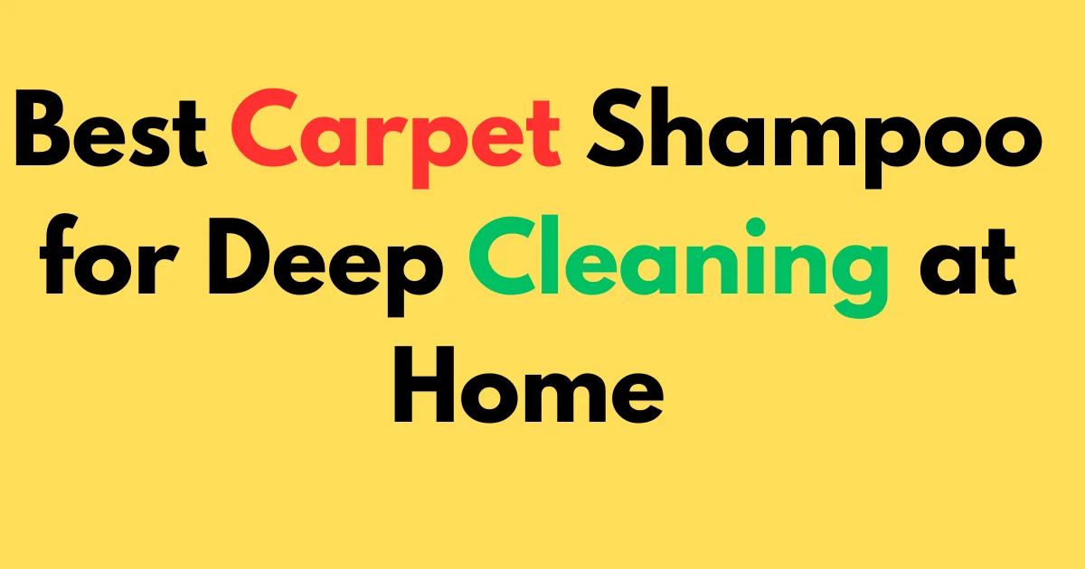 Best Carpet Shampoo for Deep Cleaning at Home