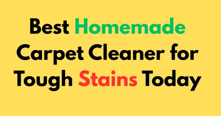 Best Homemade Carpet Cleaner for Tough Stains Today