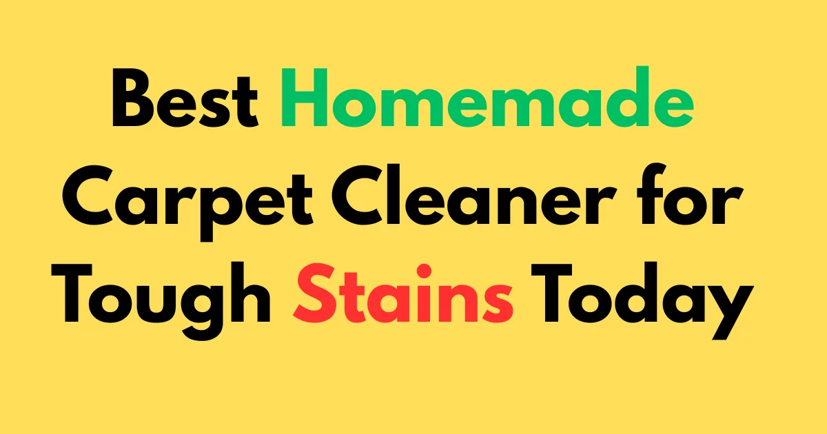 Best Homemade Carpet Cleaner for Tough Stains Today