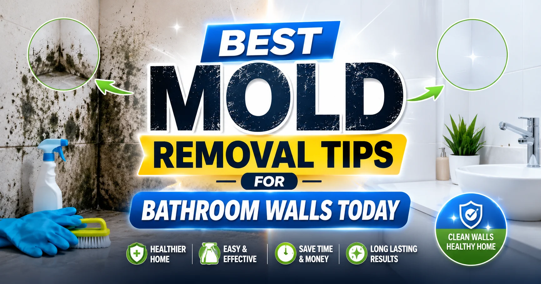 Best Mold Removal Tips for Bathroom Walls Today