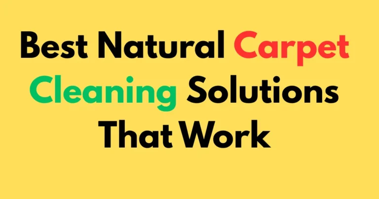 Best Natural Carpet Cleaning Solutions That Work