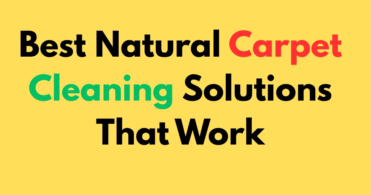 Best Natural Carpet Cleaning Solutions That Work