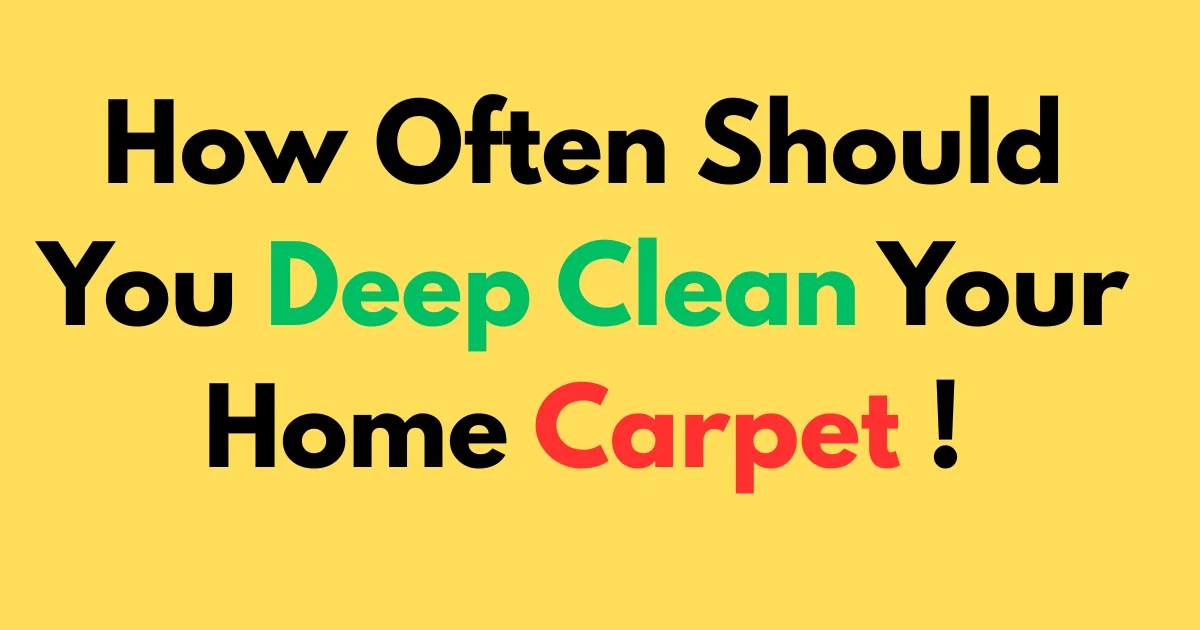 How Often Should You Deep Clean Your Home Carpet