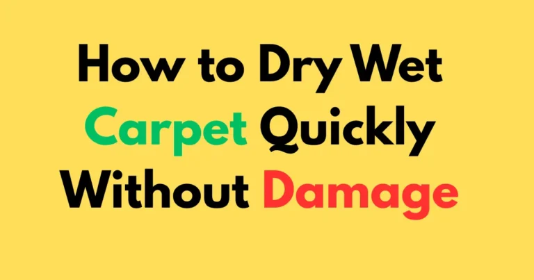 How to Dry Wet Carpet Quickly Without Damage