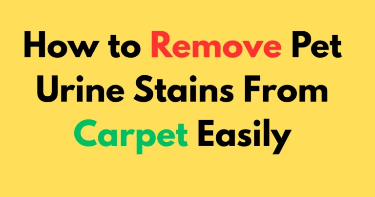 How to Remove Pet Urine Stains From Carpet Easily