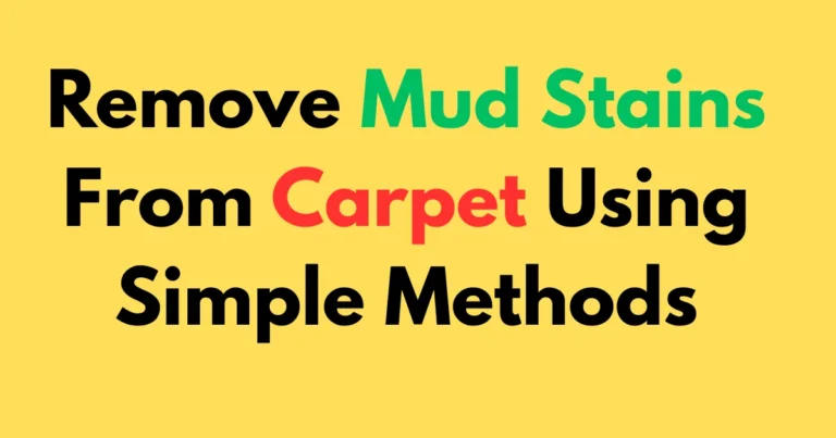Remove Mud Stains From Carpet Using Simple Methods