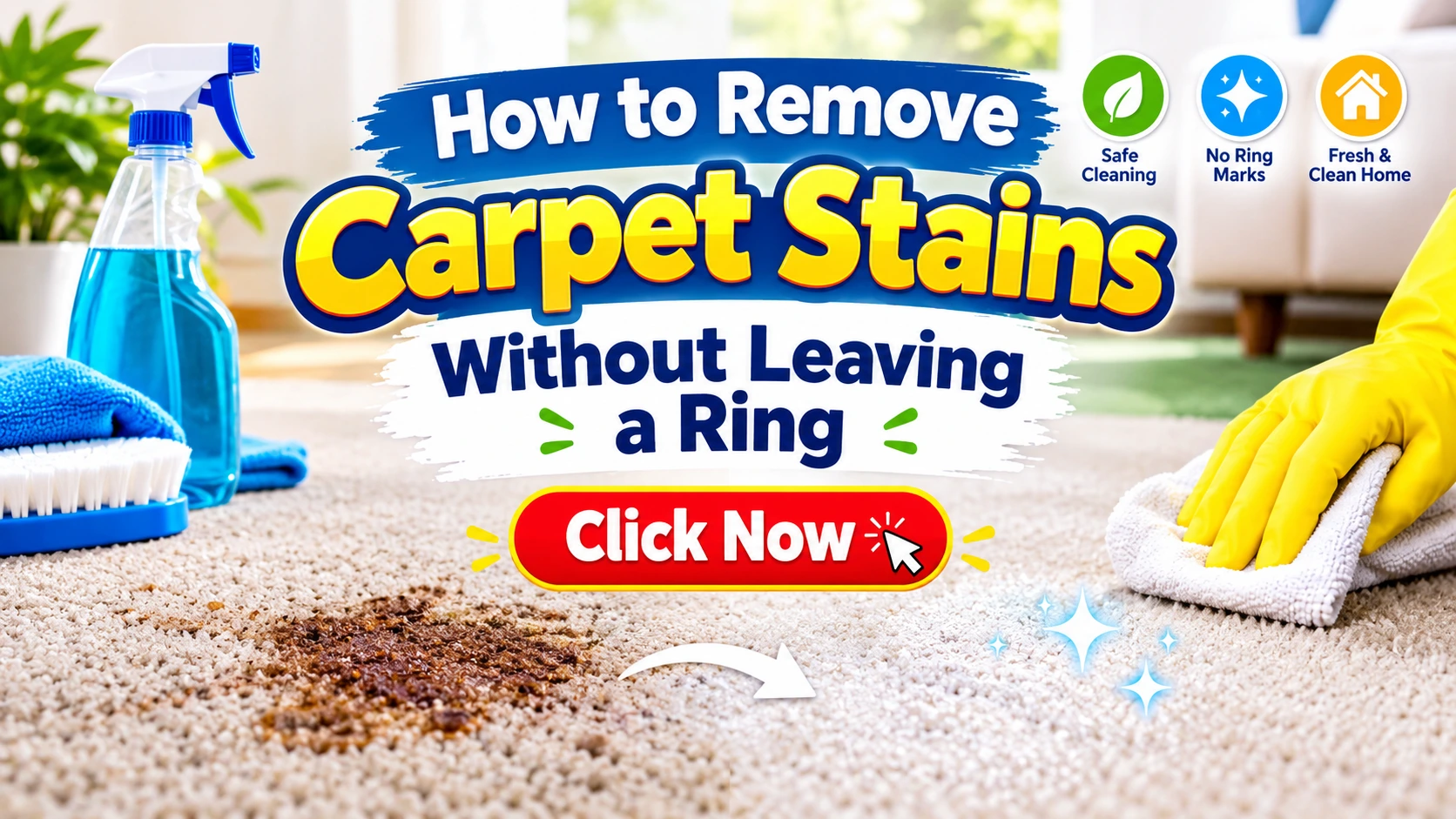 How to Remove Carpet Stains Without Leaving a Ring